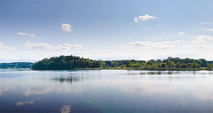 Angeln Abtsdorfer See